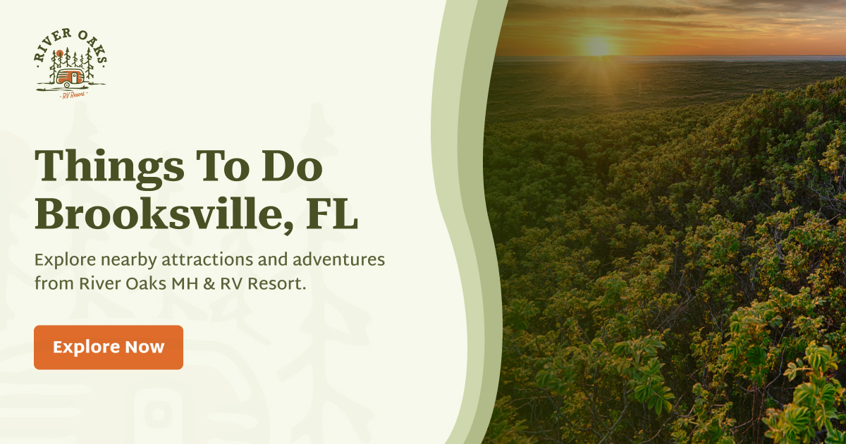 Things To Do | River Oaks MH & RV Resort | Brooksville Fun